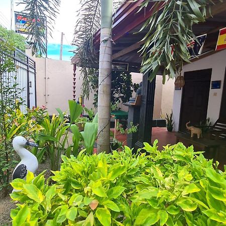 Kavidi Villa Home Stay แทนกาลเล ภายนอก รูปภาพ